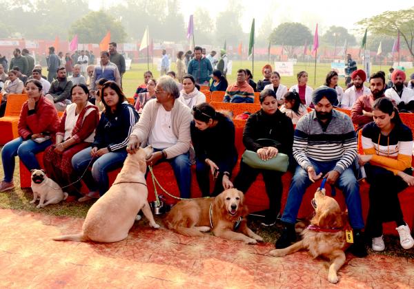  Dog Show Glimpse